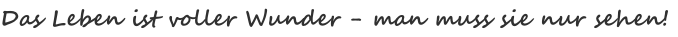 Das Leben ist voller Wunder - man muss sie nur sehen!
